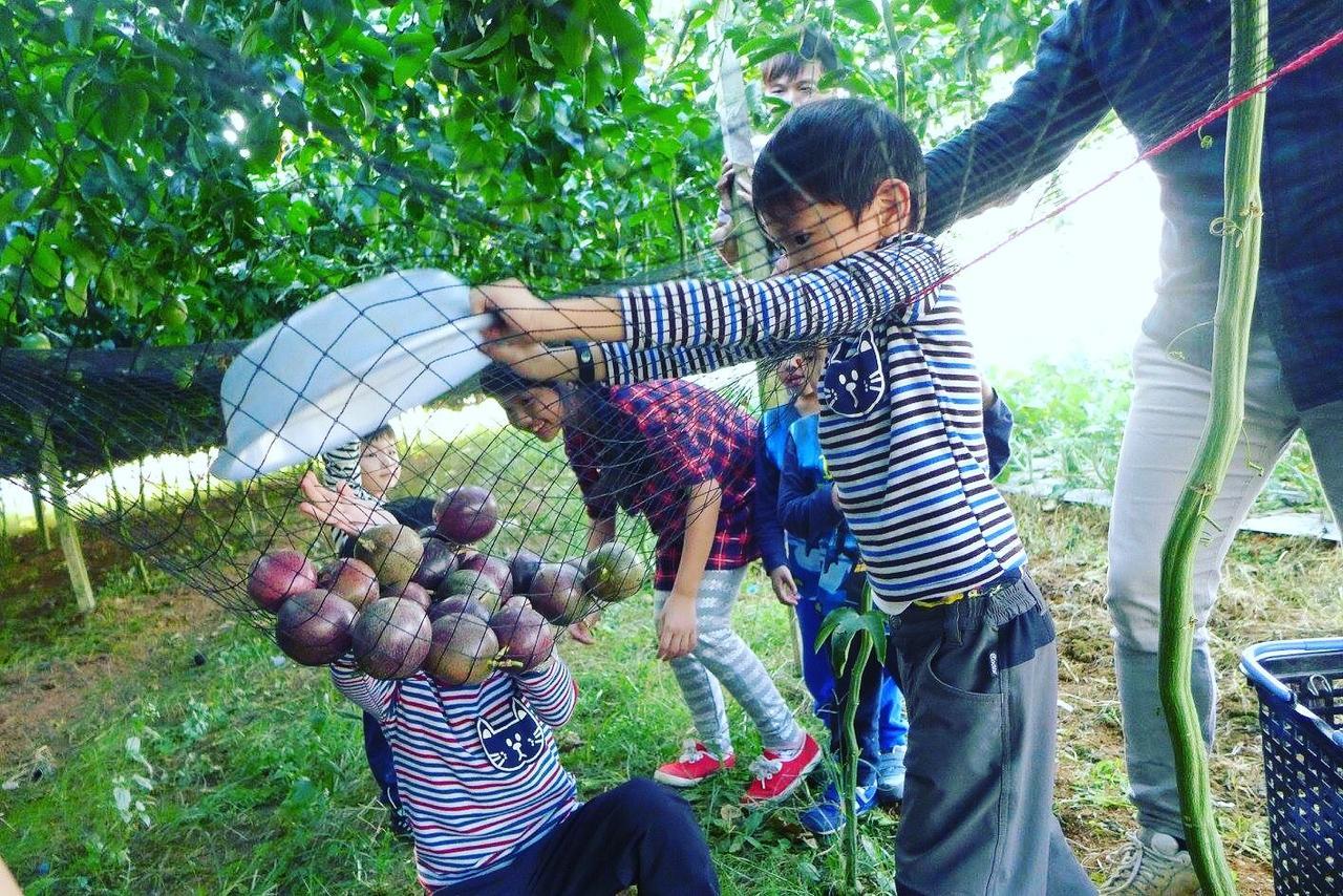 Songfeng Xiuxian Homestay Пули Екстериор снимка